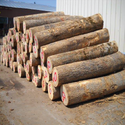 Black Ash Logs 2